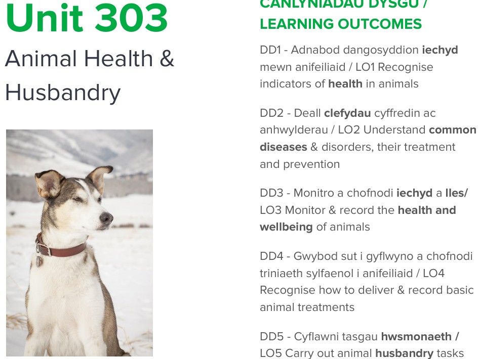 L3 Adv Tech Dip in AM : 303 Ani Health & Husbandry LO1