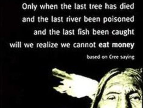 ESS 1.1 Environmental Perspectives first exams 2026