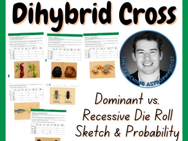 Dihybrid Cross Traits Probability Sketch Activity | Biology | Life Science