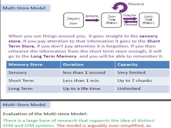 PSYCHOLOGY UNIT 1 MEMORY PACK