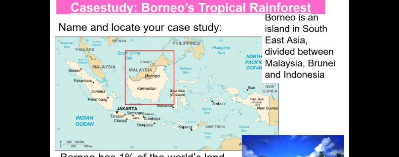 GCSE Geography - Environmental Challenges - Destruction of biodiversity - palm oil production