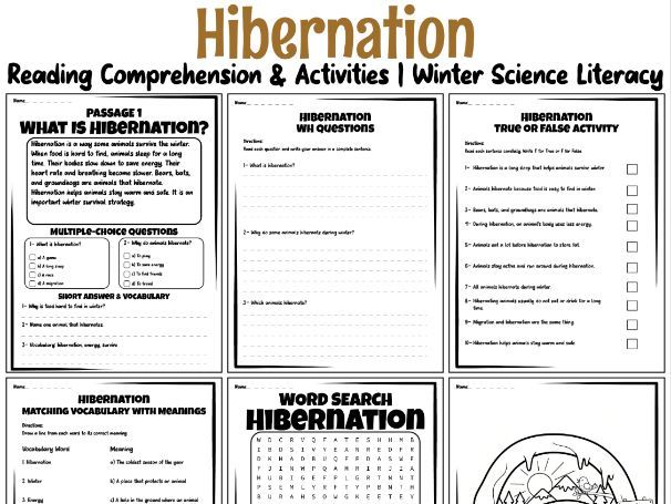 Hibernation Reading Comprehension & Activities | Winter Science Literacy