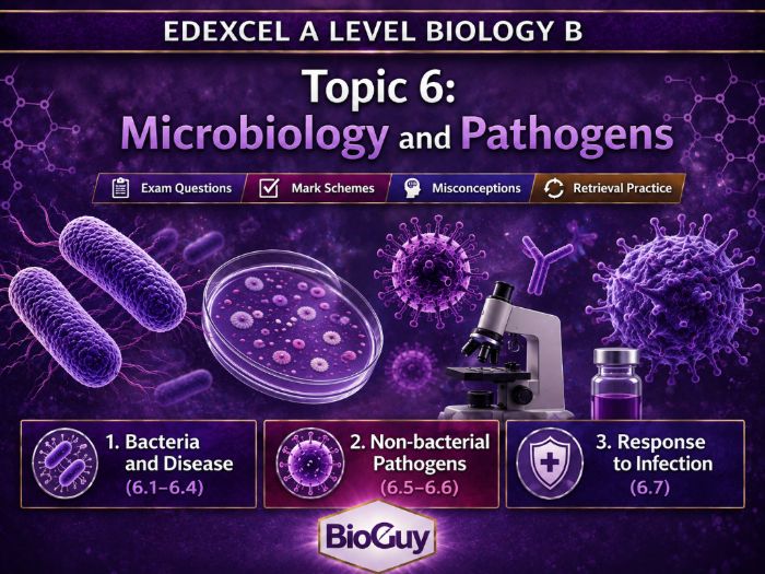 Edexcel Biology B: 6.2 Non-bacterial Pathogens