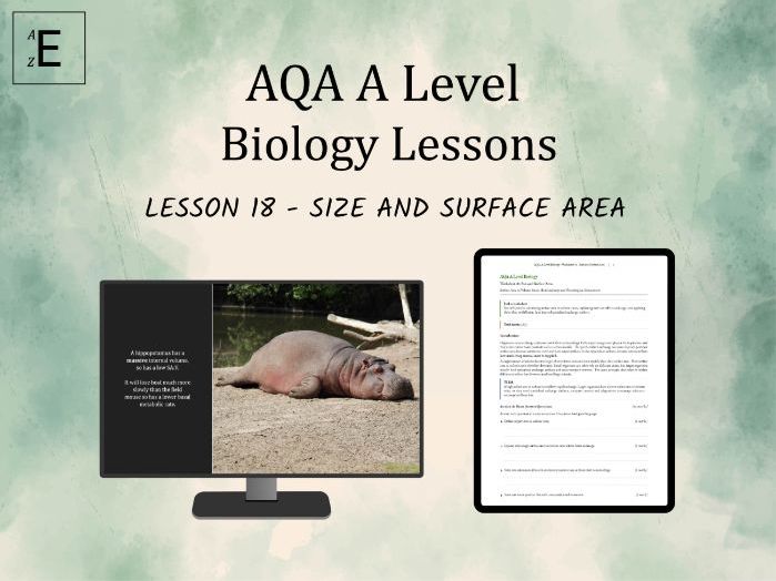 AQA A Level Biology Lesson 18 - Size and Surface Area