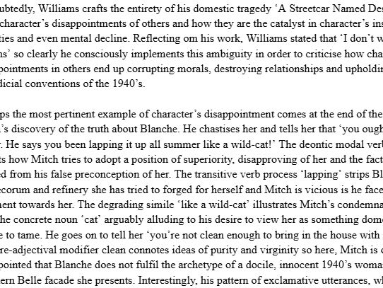 Disappointment in Streetcar Essay