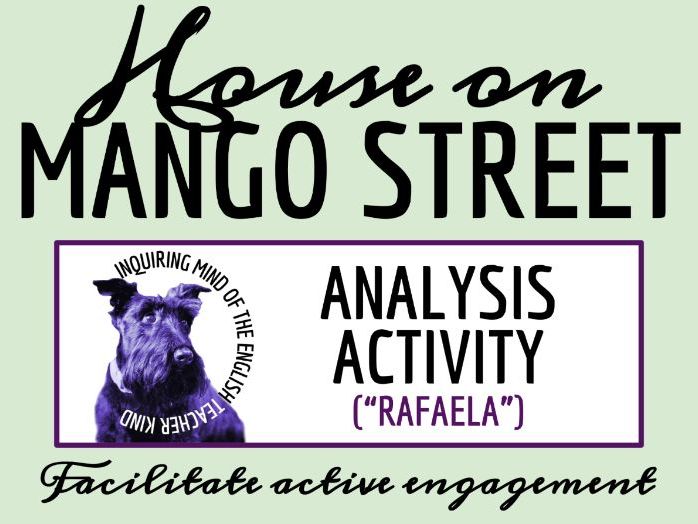 House on Mango Street Literary Analysis Worksheet | Rafaela Who Drinks Coconut Water (Vignette 31)