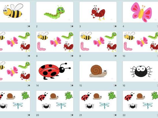 French Minibeasts / Les petites bêtes