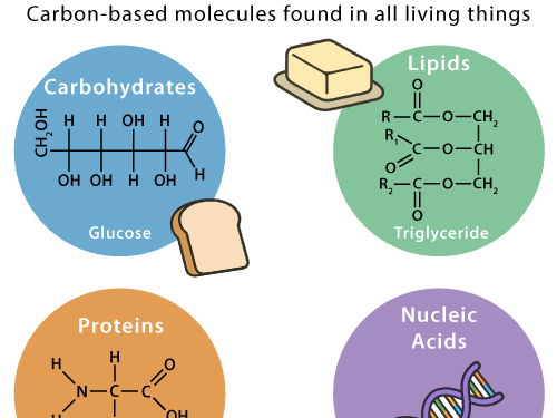 Cambridge AS Chemistry - Unit 13 An introduction to AS Level organic chemistry