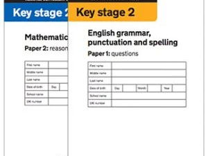 Reading Comprehension: 3 texts SATs practice