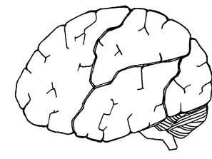 Human Biology Colouring - Set of 2 (Cell and Brain)