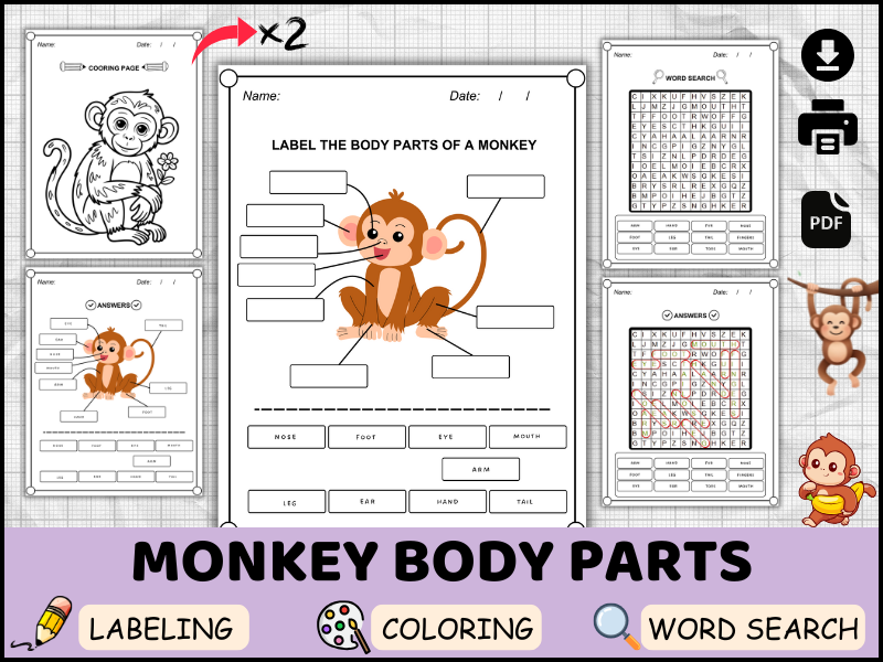 Monkey Body Parts in English | Labeling, Coloring, Word Search Worksheets | Animal Anatomy Activitie