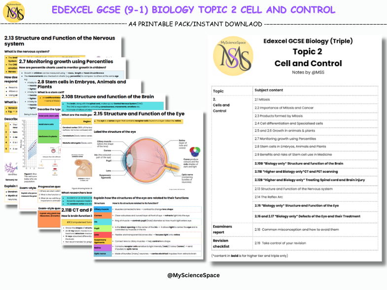Edexcel GCSE (9-1): Topic 2 Cell and Control Mark Scheme-Style Revision Notes