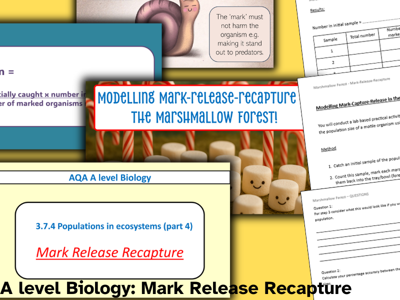 Mark Release Recapture AQA Alevel (Estimating population size)