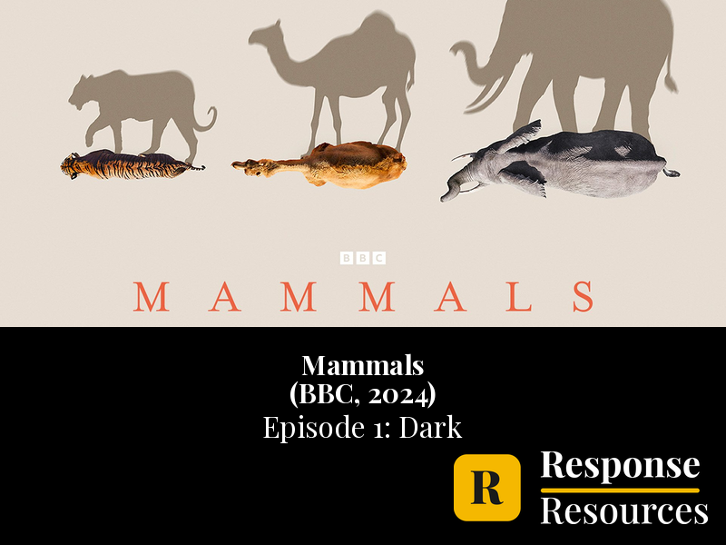 Mammals (BBC, 2024) - Episode 1: Dark - Worksheet & Key