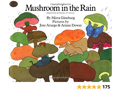 Mushroom in the Rain