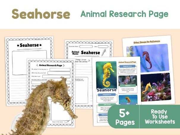 Seahorse Research Project | Ocean Animal Science Worksheets