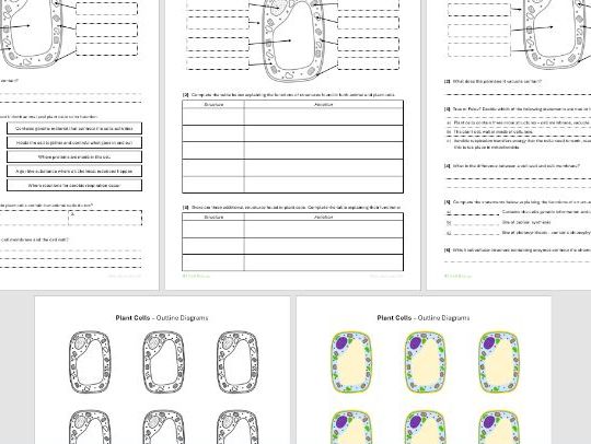 B1 Plant Cells - Worksheets