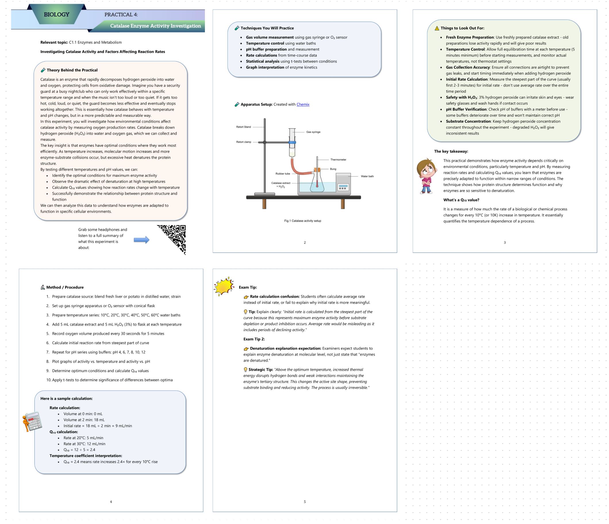 IB DP Biology Catalase Enzyme Activity and Reaction Rate Lab Notes 2026 ...