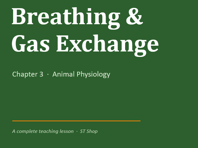 Edexcel IGCSE Biology | Chapter 3 Breathing & Gas Exchange BUNDLE |