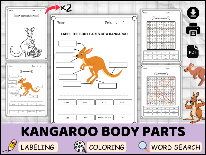 Kangaroo Body Parts in English | Labeling, Coloring, Word Search Worksheets | Animal Anatomy