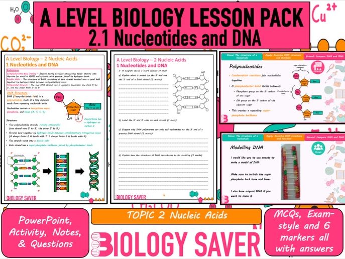 A Level Bio Lesson - 2.1 Nucleotides and DNA