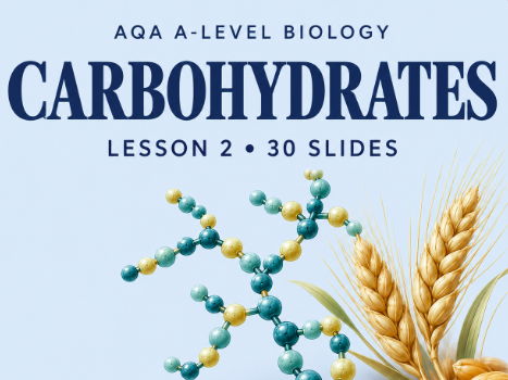AQA A-Level Biology: Carbohydrates | PowerPoint with Diagrams & Reveal Answers