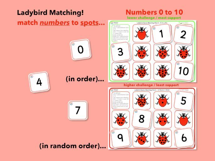 Ladybirds! Matching Numerals 0-10 and Counting Spots