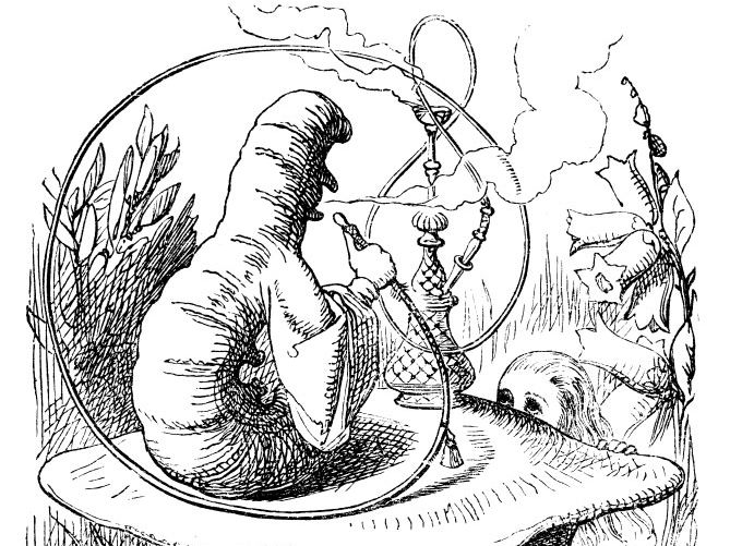 Alice in Wonderland Chapter 5 Worksheet
