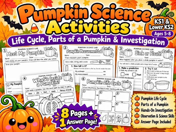 Pumpkin Science Activities | Autumn STEM Investigations, Life Cycle & Maths | KS1