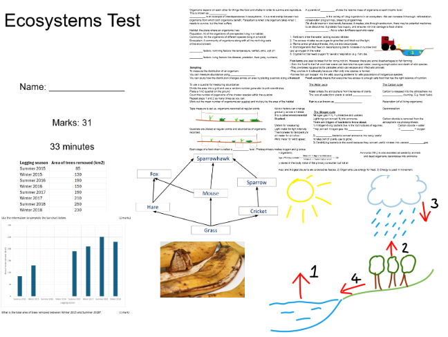 GCSE Edexcel Topic 9 Revision Resources