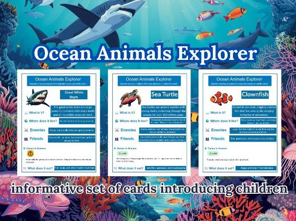 Ocean Animals Explorer
