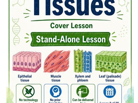KS3, KS4 Biology cover lesson Tissues - no prior knowledge required