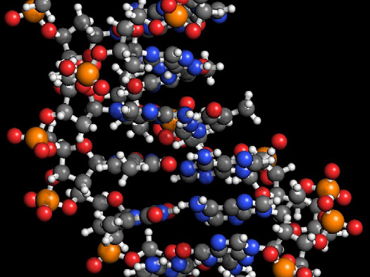 Structure and Function of DNA