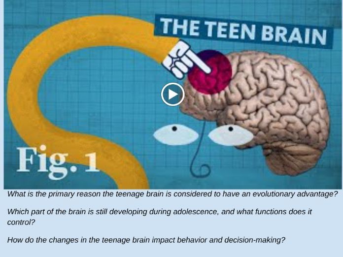 Year 9 Metacognition Tutor Time Scheme of Work (12 Sessions) - Brain Science in the real world