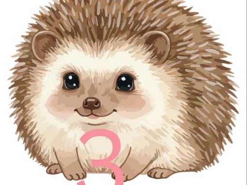 EYFS Maths Counting Activity - Hedgehogs