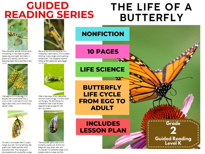 Guided Reading Level K - The Life of a Butterfly (with Lesson Plan)