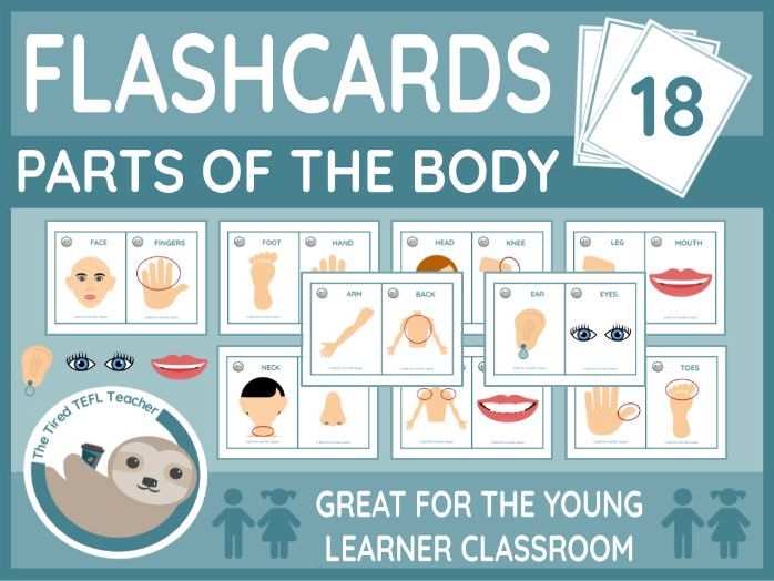 ESL Parts of the Body Flashcards