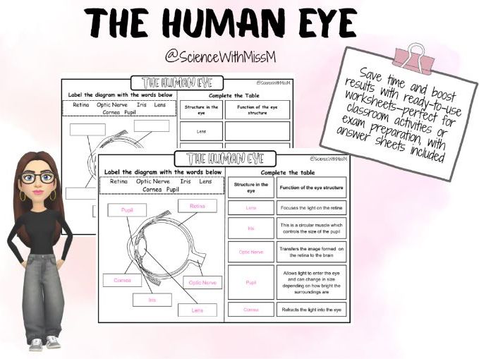 The Human Eye KS3 Worksheet