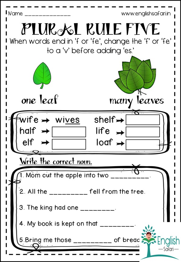 Plural noun rules (sample) | Teaching Resources