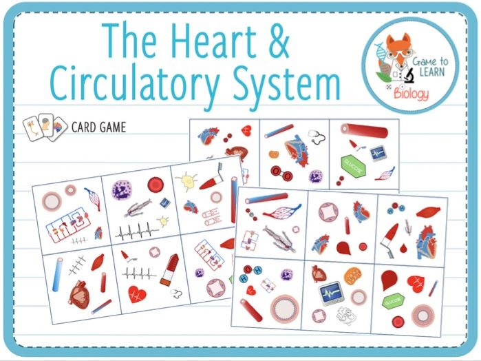 Heart and Circulatory System - Card Game (KS3/KS4) | Teaching Resources
