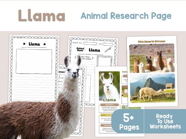 Llama Animal Research Page | Habitats and Adaptations Worksheets