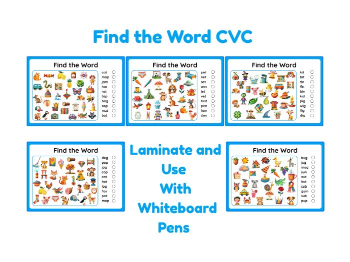 Find the Word Phonics Worksheets Phase 2, CVC Word Reading Activity , EYFS Reception Phonics