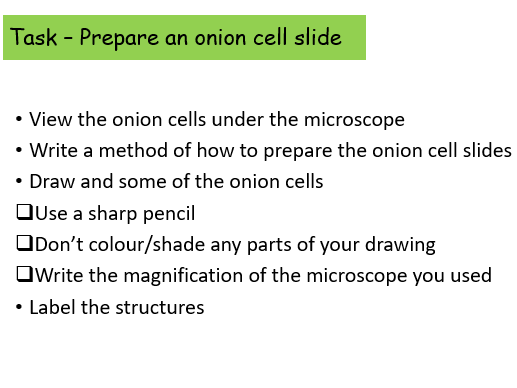 Microscope practical