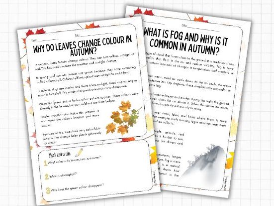 Autumn Nonfiction Reading Comprehension (2 Levels) | ESL Science KS2