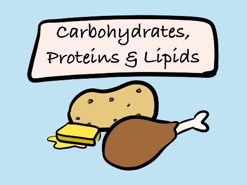 A Level Biology - Carbs, Proteins & Lipids