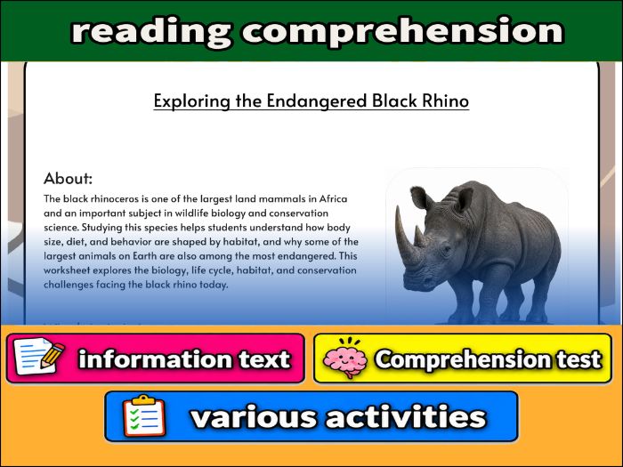Exploring the Endangered Black Rhino - zoology & Activities