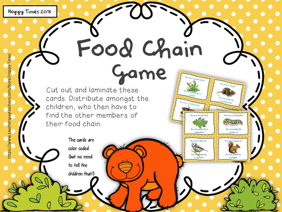 science food chain predator prey game activity