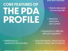 Demand avoidance profiles