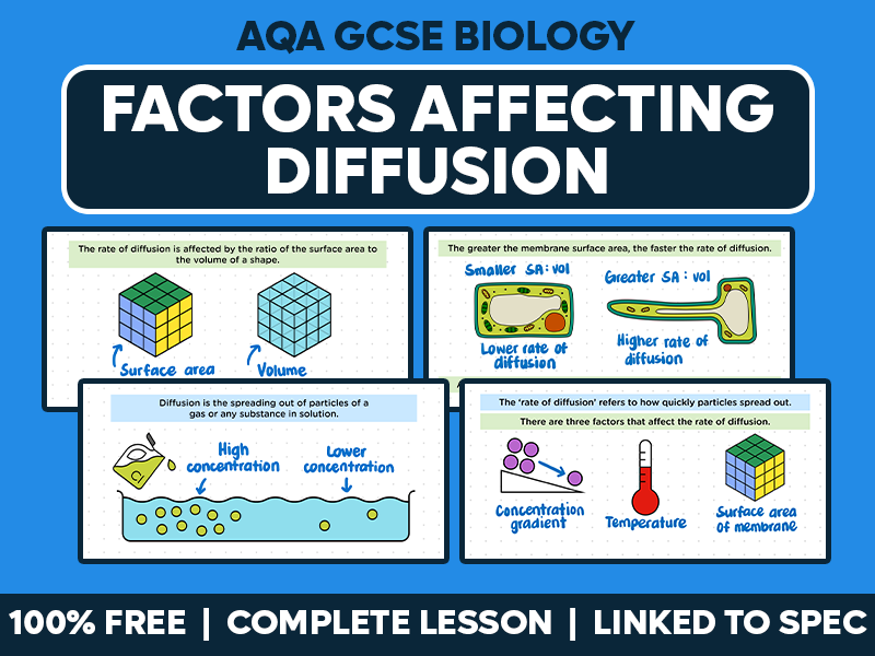 GCSE AQA Biology Complete Lesson - Factors Affecting Diffusion