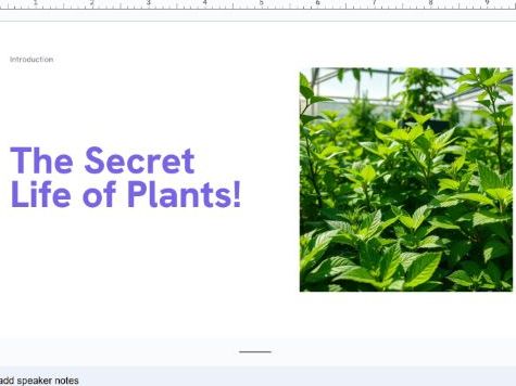 The Secret Life of Plants! - Assembly/Lesson - Powerpoint